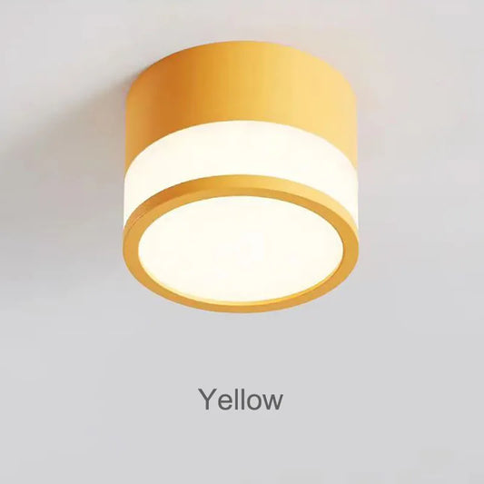 Elyran - Nordic LED Opbouw Downlight Dimbaar