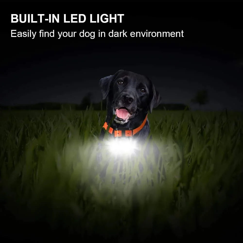 Luxora Rechargeable Waterproof Dog Training Collar with Remote, Multi-Mode Shock, Vibration
