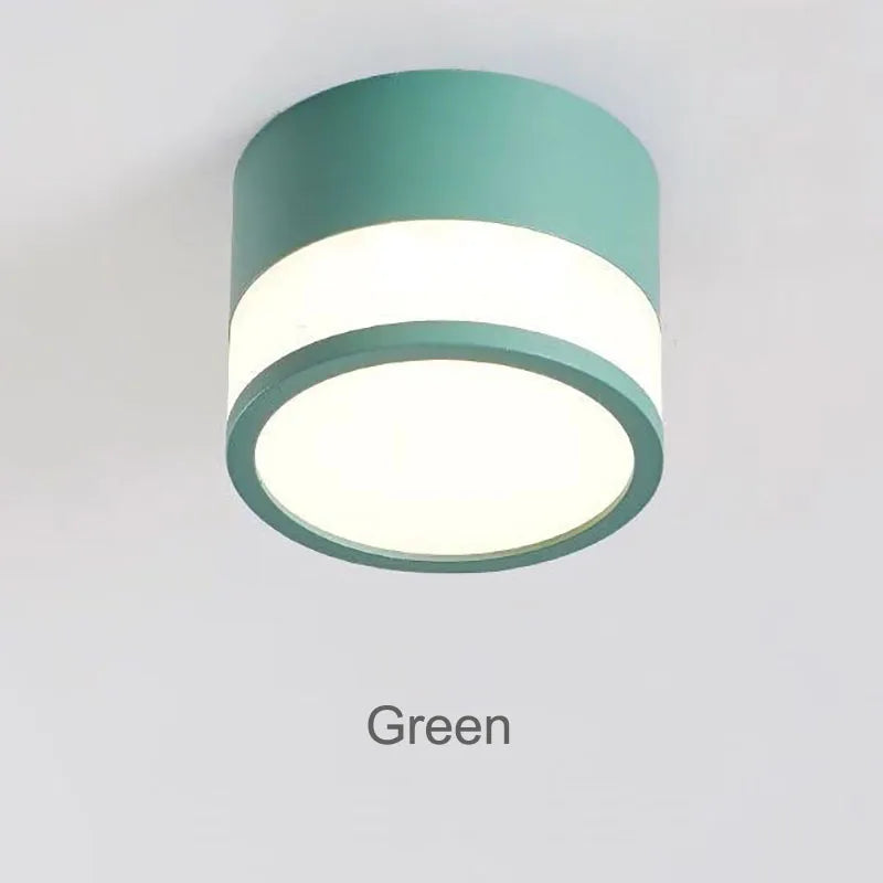 Elyran - Nordic LED Opbouw Downlight Dimbaar