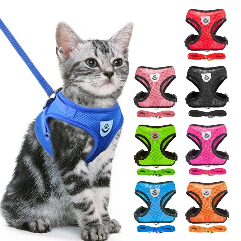 Collars & Leashes - Reflective Pet Harness & Leash Set