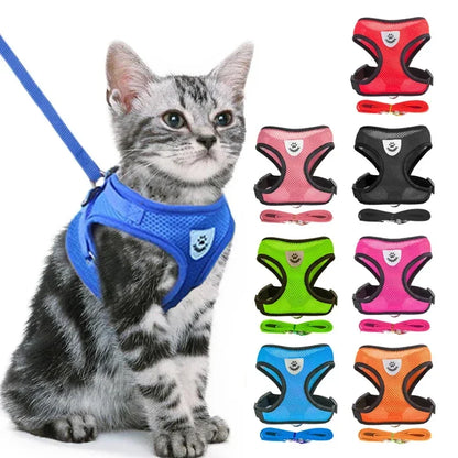 Collars & Leashes - Reflective Pet Harness & Leash Set