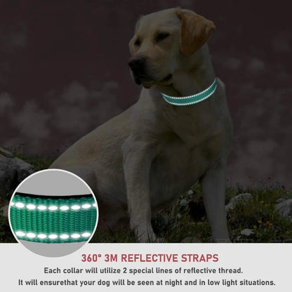 PawsProtect Reflective Adjustable Pet Collar