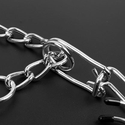 Hond Prong Halsband Model B | Verchroomd Staal met Rubber Gevoerde Prongen | Verstelbare Anti-Trek Trainingshardware | Hoogwaardige Koppeling Systeem | Meerdere Maat Varianten