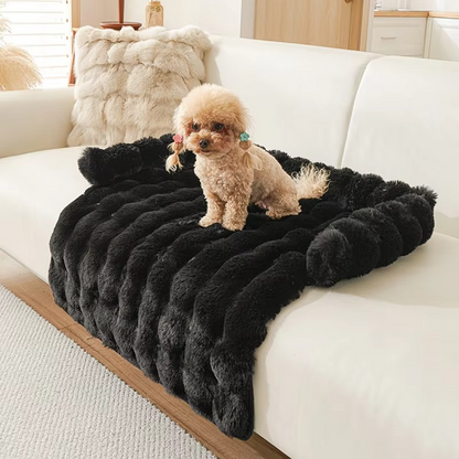 TIJDELIJK 50% KORTING | SnugPaws™