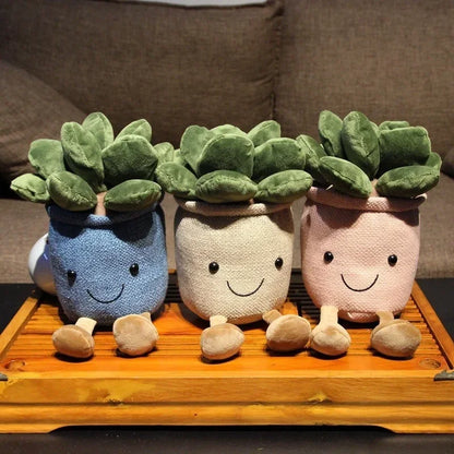 Plush Succulent Kissen – Kreatives Dekokissen im Topf-Design für Kinder- und Wohnzimmer, ideales Geschenk