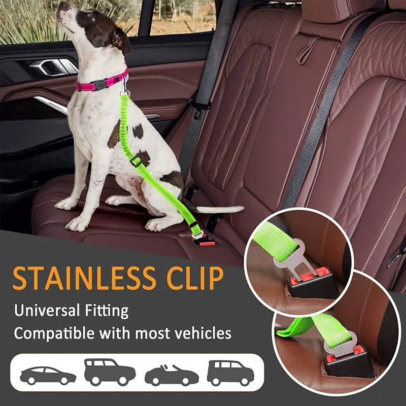 Pet Seat Belt Leash billede 17