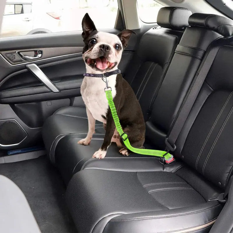 Pet Seat Belt Leash mål
