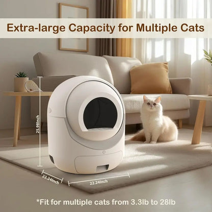 Smart Cat Litter Box