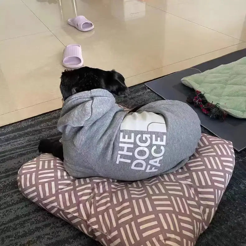 Wärmender Hundehoodie zum Öffnen