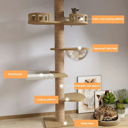Kattenboom 5 etages