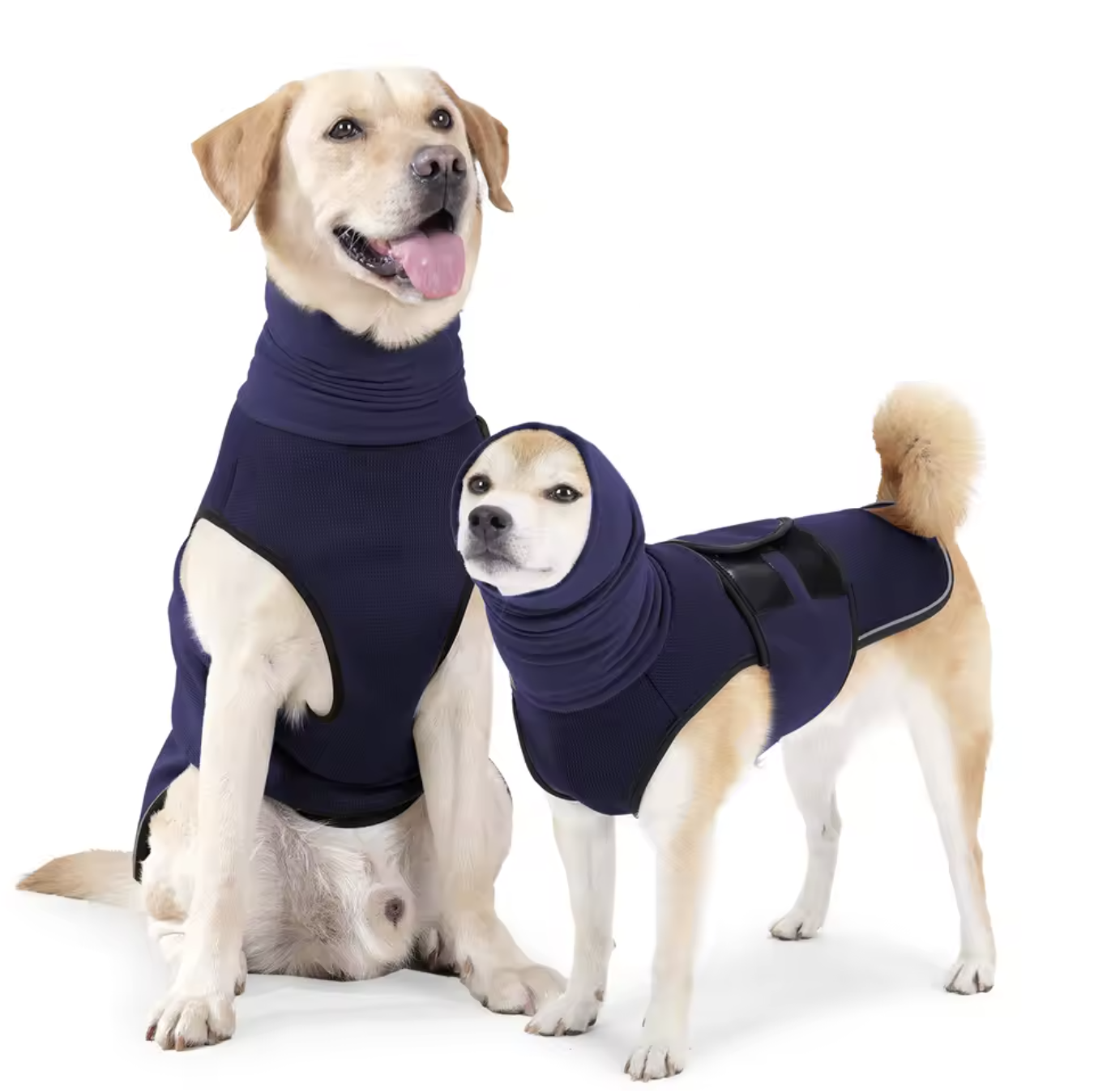Dondervest Honden