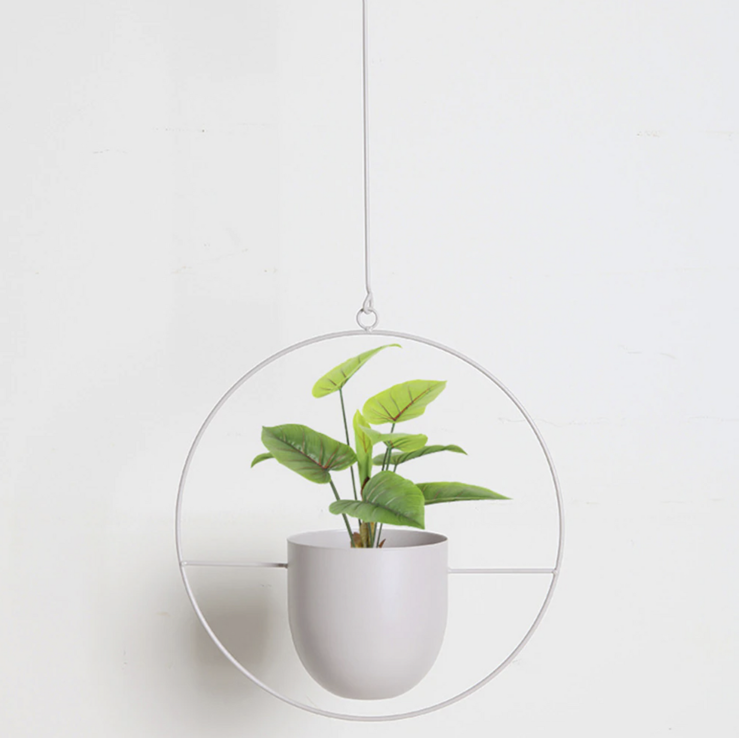 Stylowe zawieszenie roślin w minimalistycznym designie!