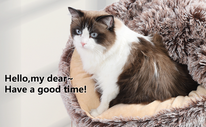 Plush Hideaway Bed™