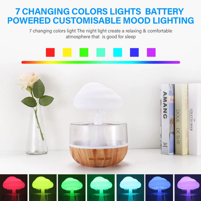 Rain Cloud Humidifier™