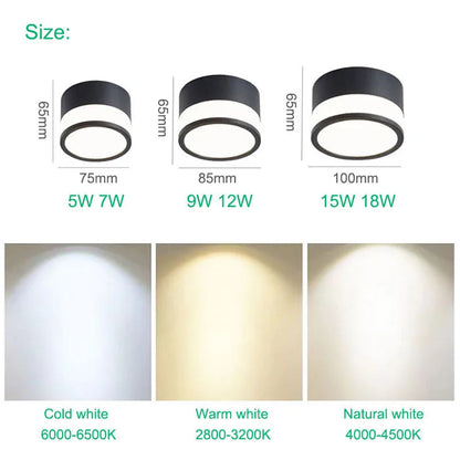 Elyran - Nordic LED Opbouw Downlight Dimbaar