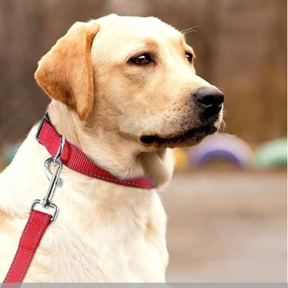 PawsProtect Reflective Adjustable Pet Collar