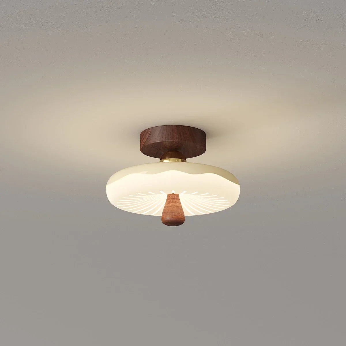 Cirevan – Plafondlamp