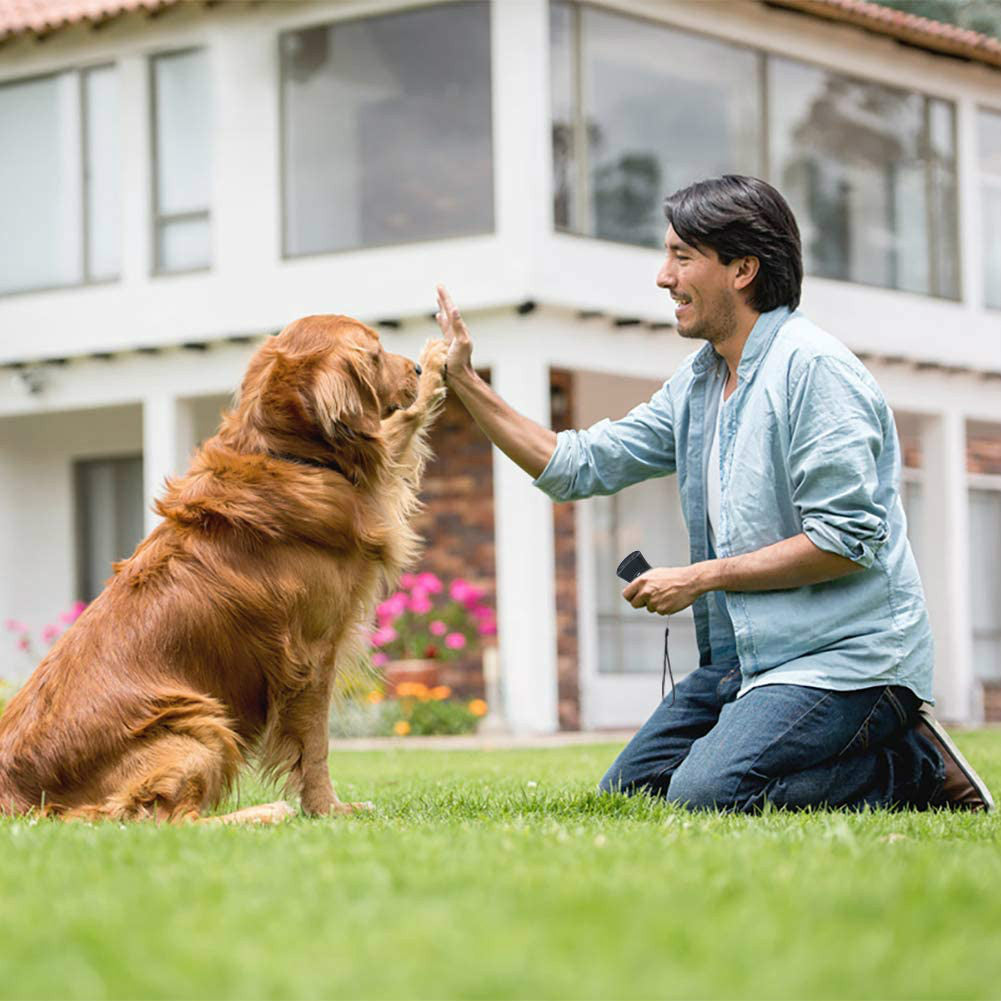 Dog Bark Controller