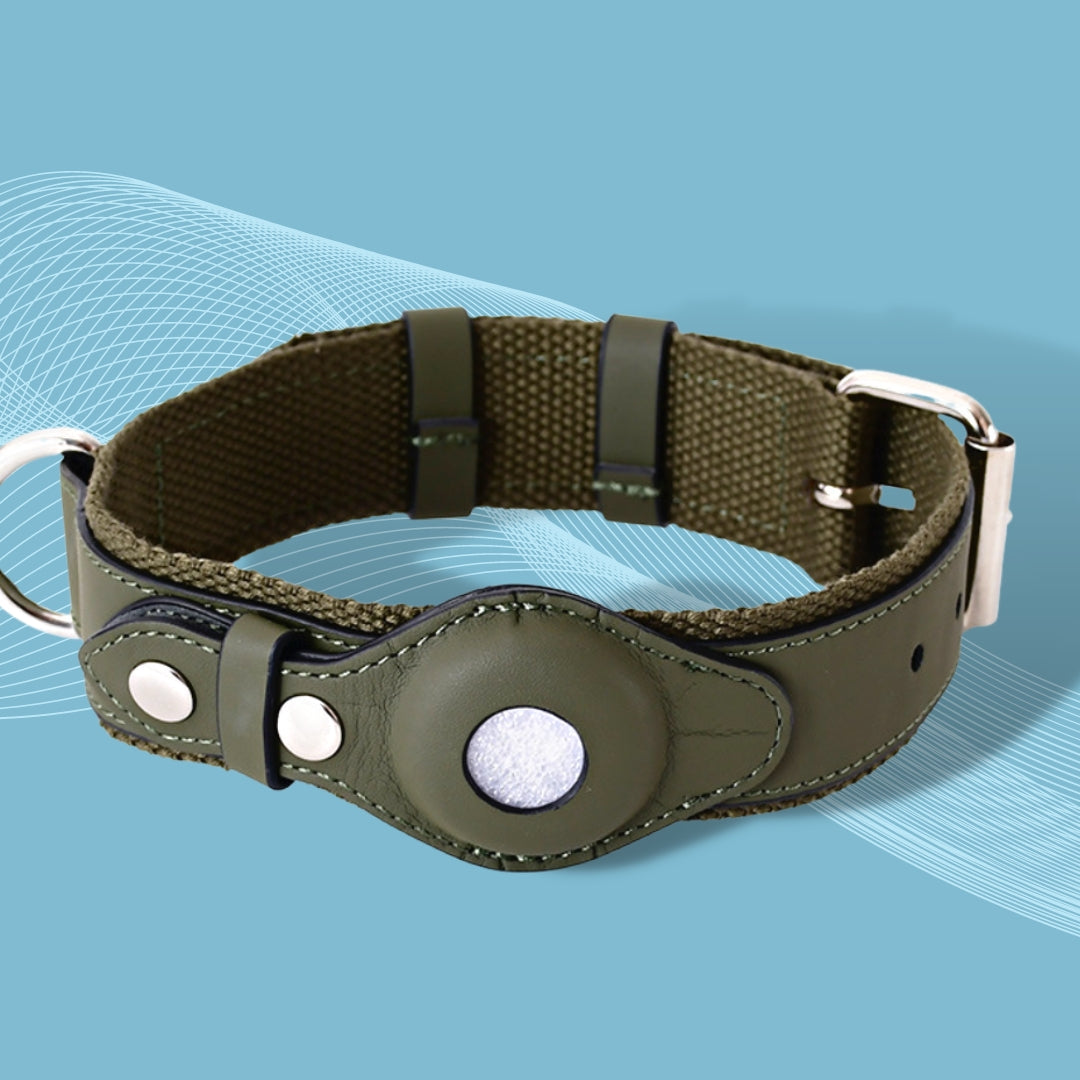PawTracker Collar