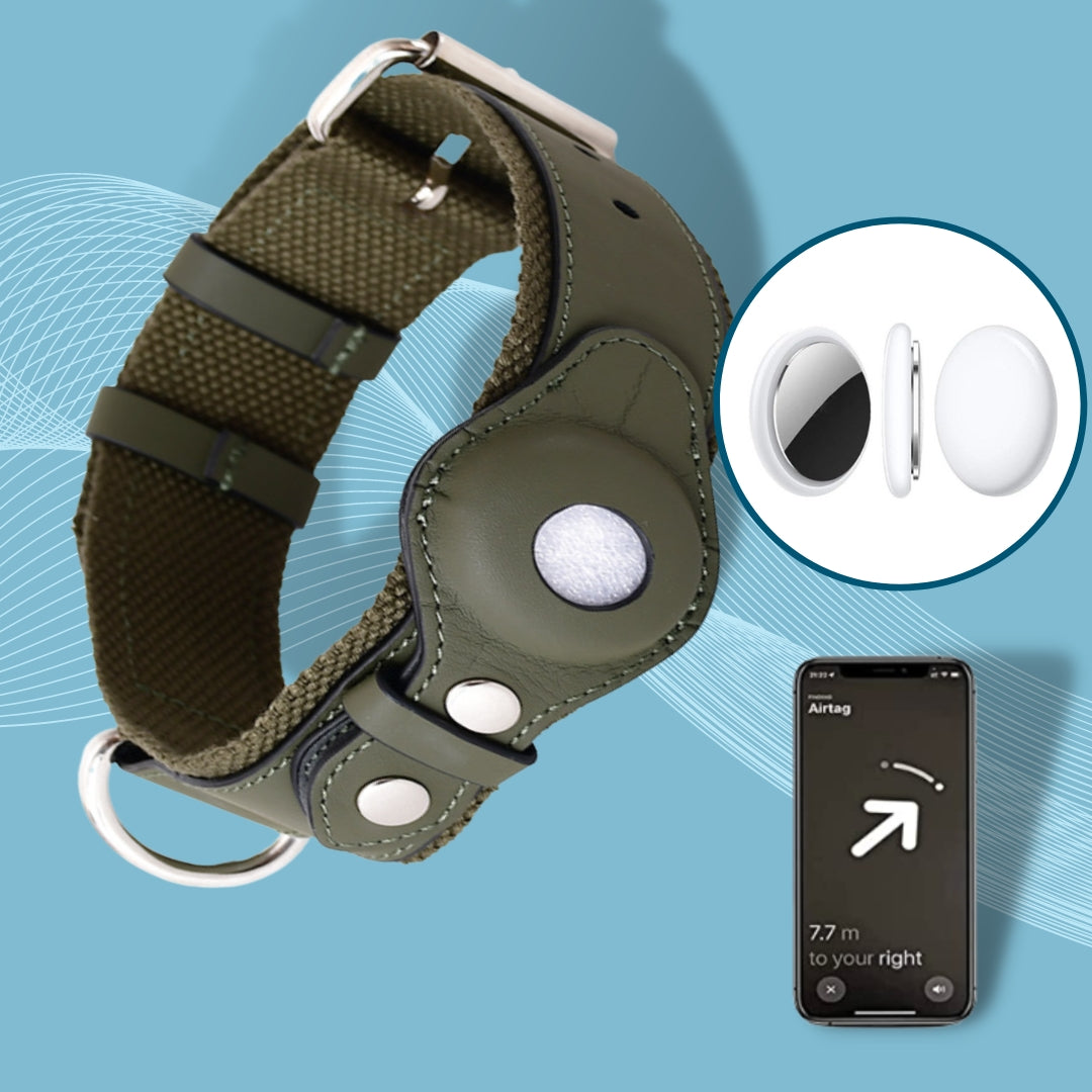 PawTracker Collar