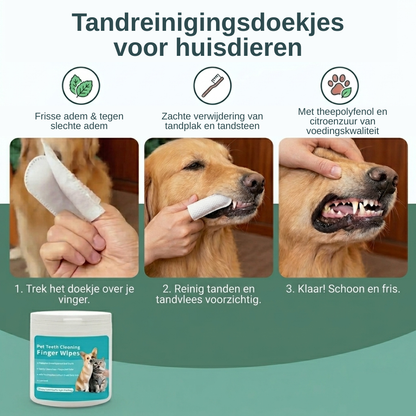 DentoWipe Schone tanden zonder gedoe met een borstel.