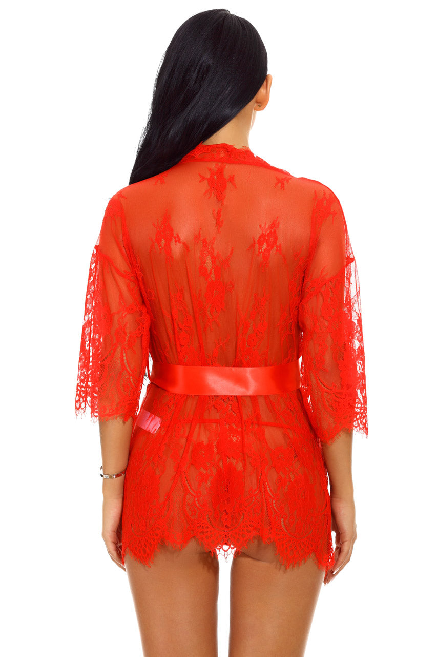 VYLAH – Eyelash Lace & Mesh Robe - LivingCurves Apparel & Accessories > Clothing > Lingerie Black / Small