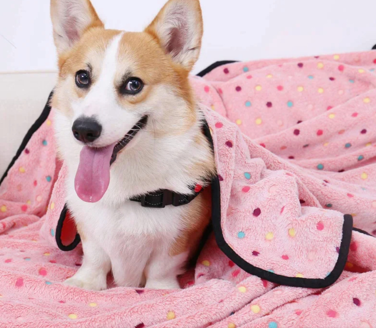 polka-dot blanket - pet blanket