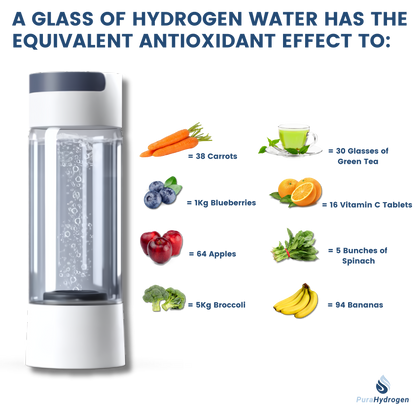 PuraHydrogen Pro Water Bottle