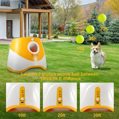 FetchMate Je hond speelt zelfstandig — jij houdt de controle.