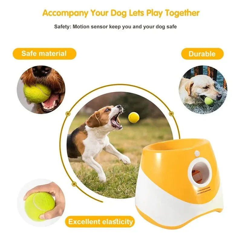 FetchMate Je hond speelt zelfstandig — jij houdt de controle.