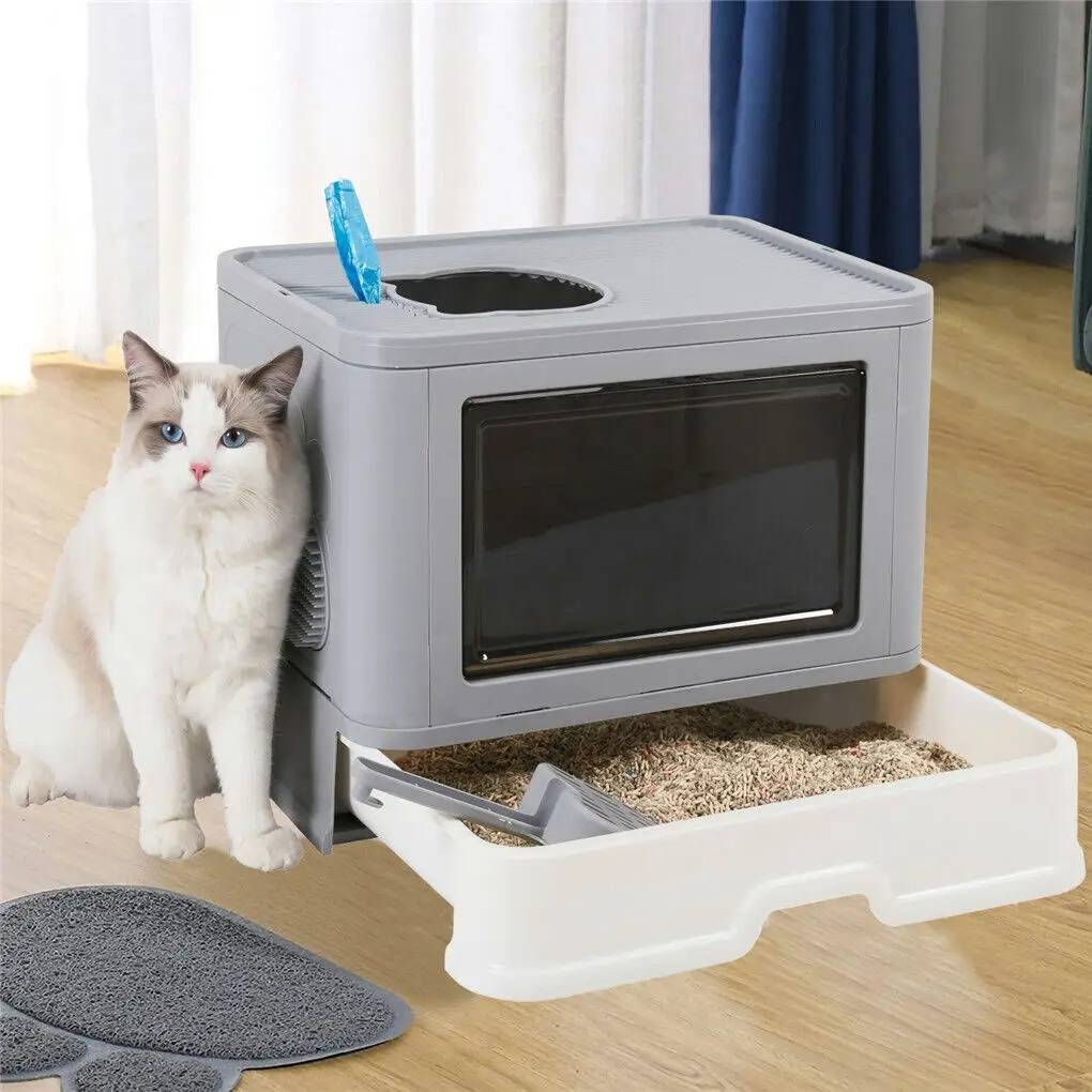 Kat Bak