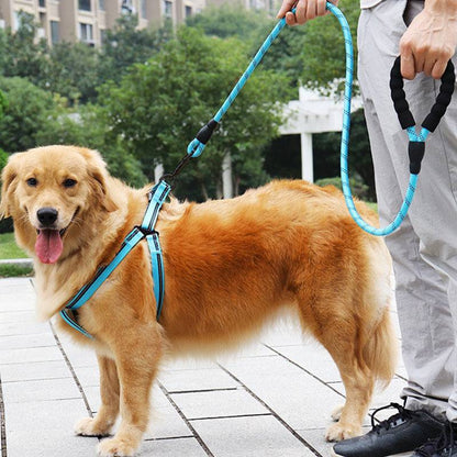 Strong Nylon Reflective Dog Leash – Heavy-Duty, Tangle-Free Pet Leash