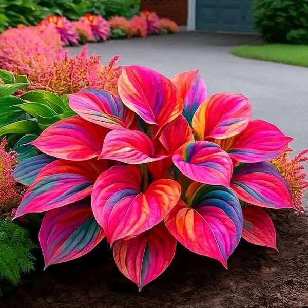 VerdantEase™ Seeds — Watch Your Darkest Corners Burst into Lush, Colorful Life with Zero Hassle