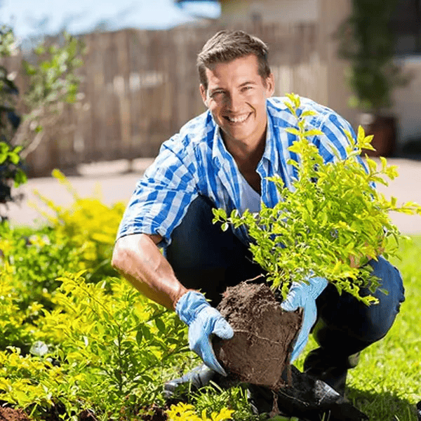 2x Ultra Strong Soil Activator™ | Jordaktivator