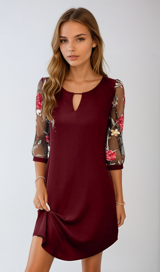 Elythra - Womens Mini Dress With Embroidered Mesh Sleeves