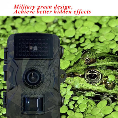 Outdoor Wildlife Camera with Night Vision for Animal Observation