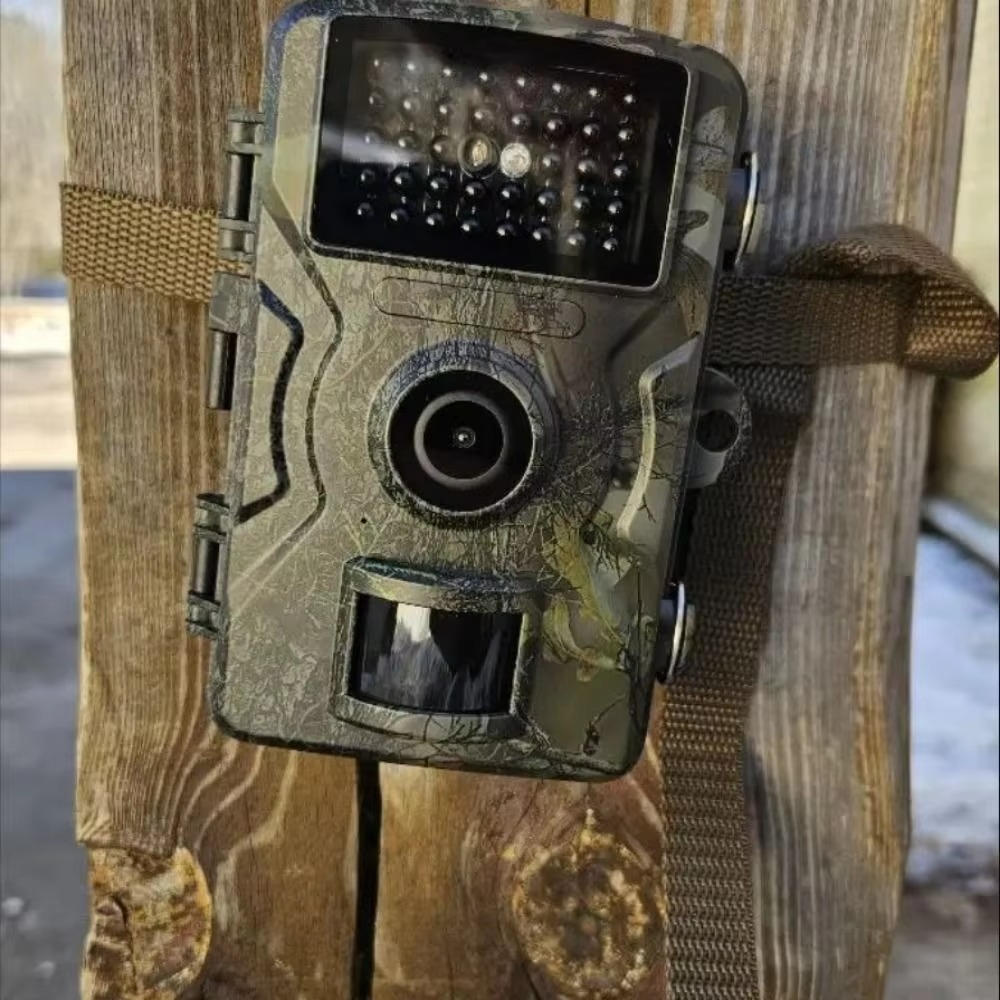 Outdoor Wildlife Camera with Night Vision for Animal Observation