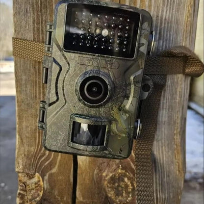Outdoor Wildlife Camera with Night Vision for Animal Observation