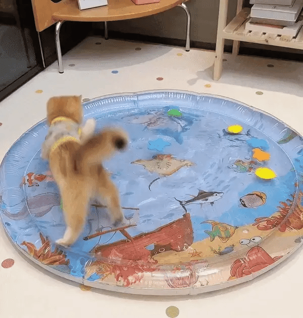 Interaktív Macska Játék Oroszlámpa - PurrPulse