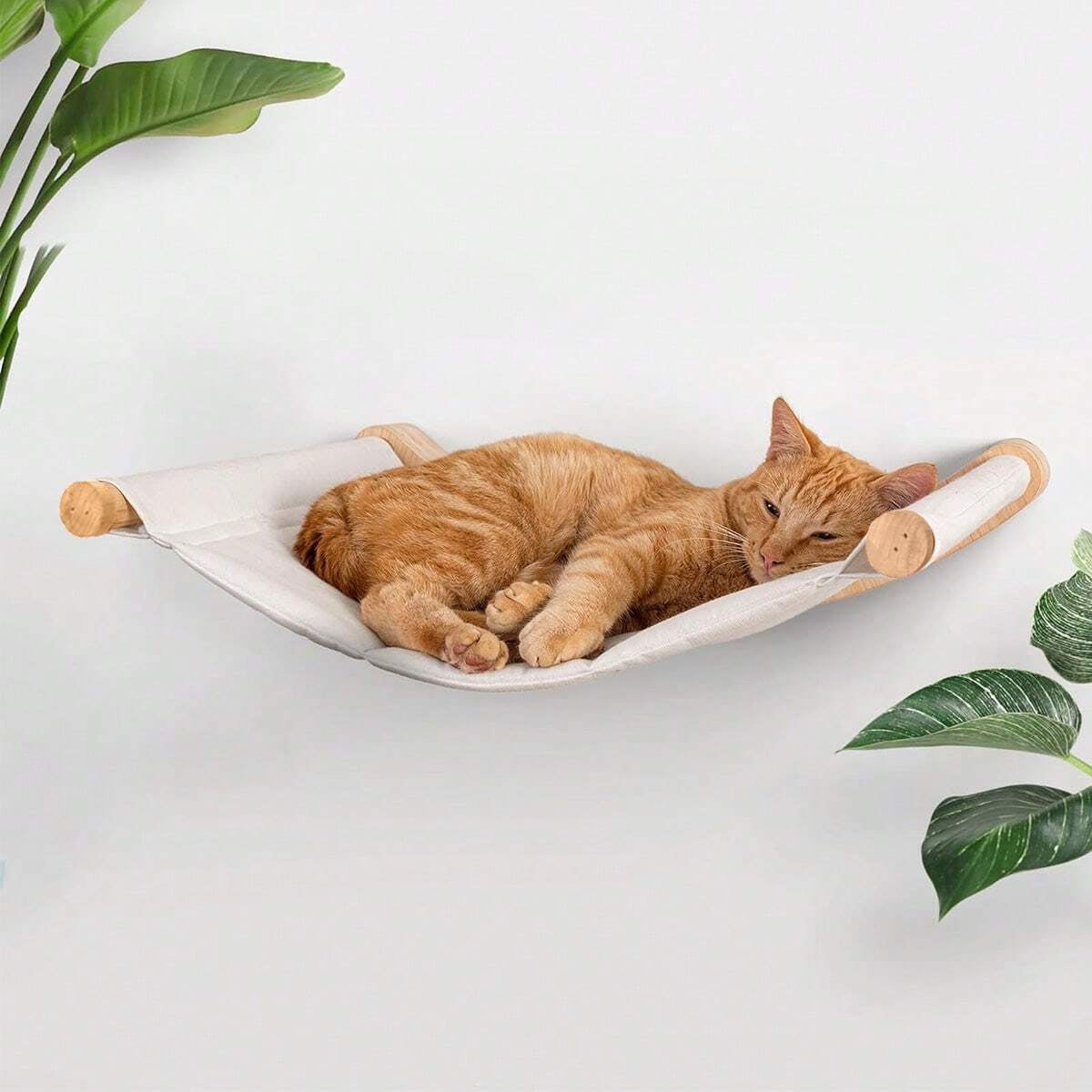 haengematte-katze-wand-weiss-mit-schlafender-katze