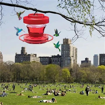 Vibrant 16oz Hummingbird Feeder with Ant Barrier & Leakproof Design