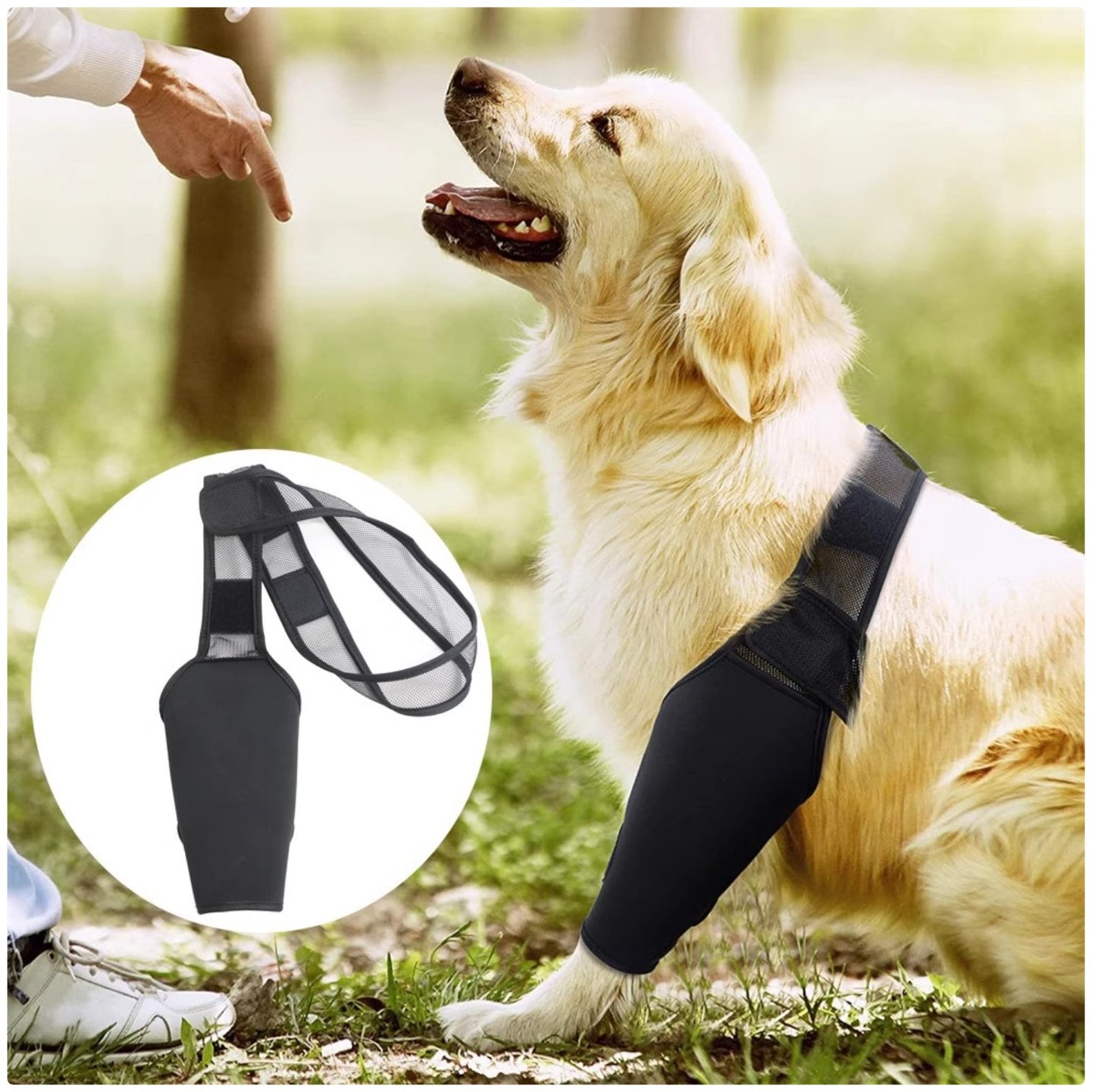 Dog Rear Leg Brace - Supportive Thigh Protector for ACL Injury & Arthritis Recovery