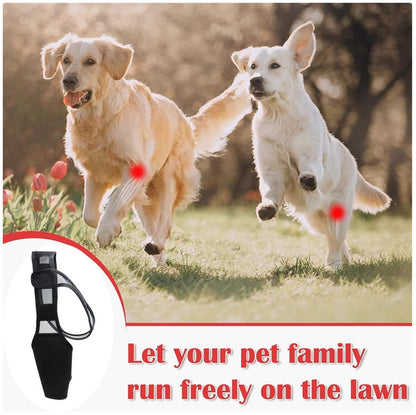 Dog Rear Leg Brace - Supportive Thigh Protector for ACL Injury & Arthritis Recovery
