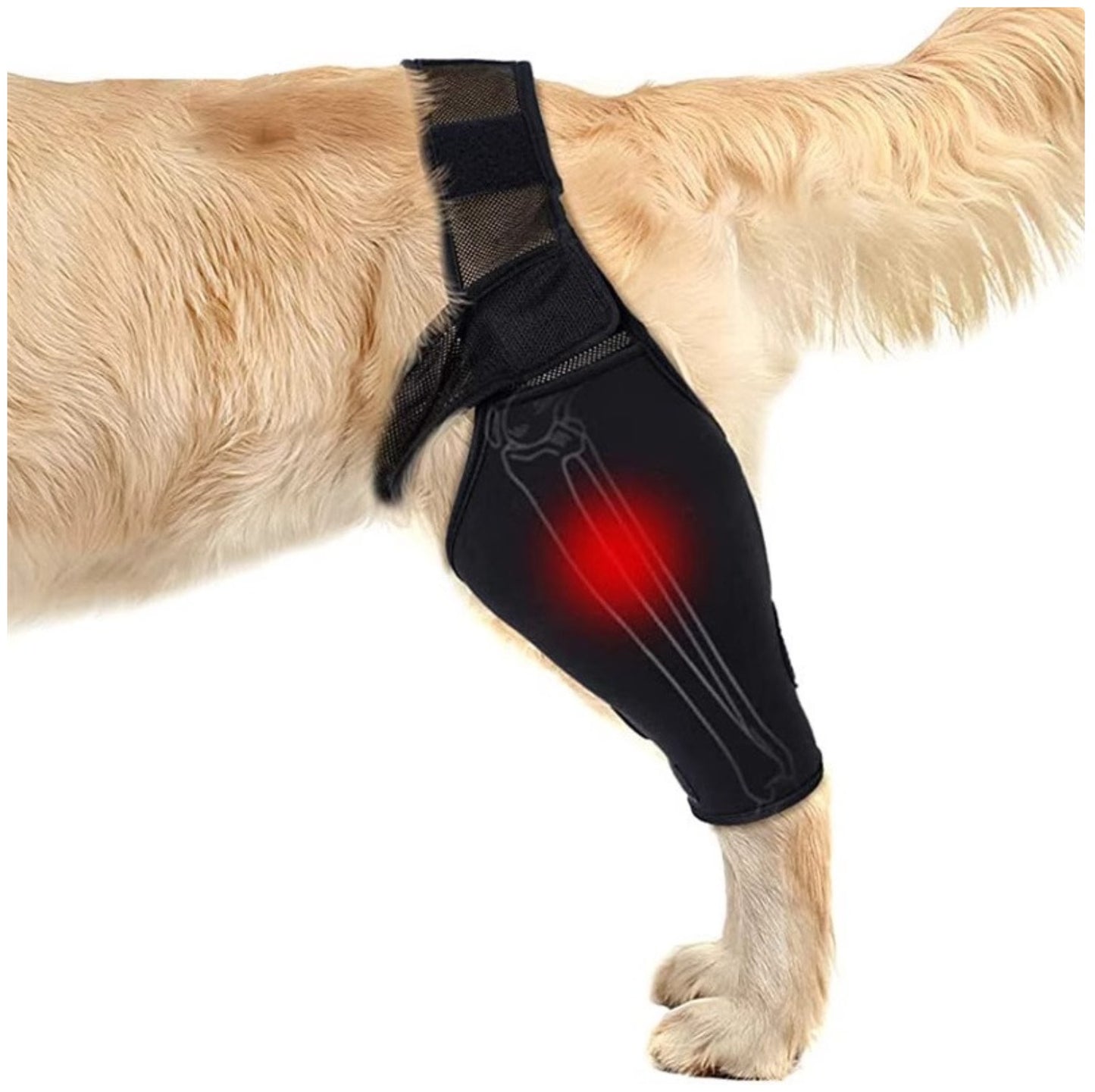 Dog Rear Leg Brace - Supportive Thigh Protector for ACL Injury & Arthritis Recovery