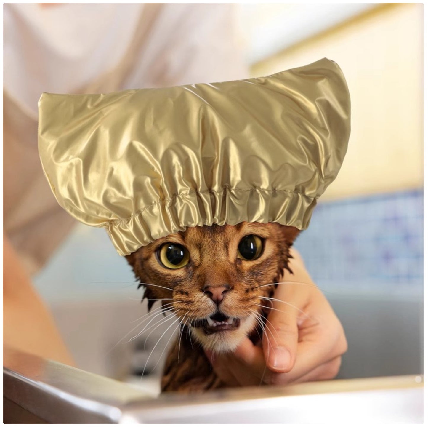 Cat Shower Cap - Waterproof Pet Bath Hat for Bathing & Grooming