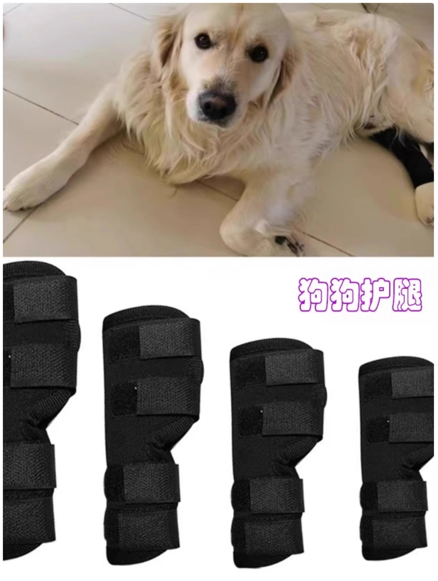 Dog Rear Leg Brace - Compression Leg Sleeve for Arthritis & Injury Recovery