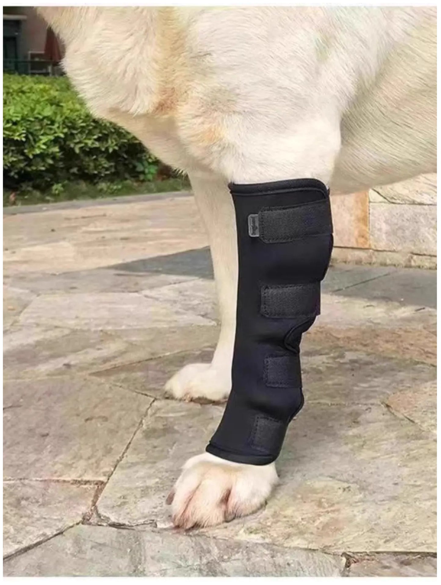 Dog Rear Leg Brace - Compression Leg Sleeve for Arthritis & Injury Recovery