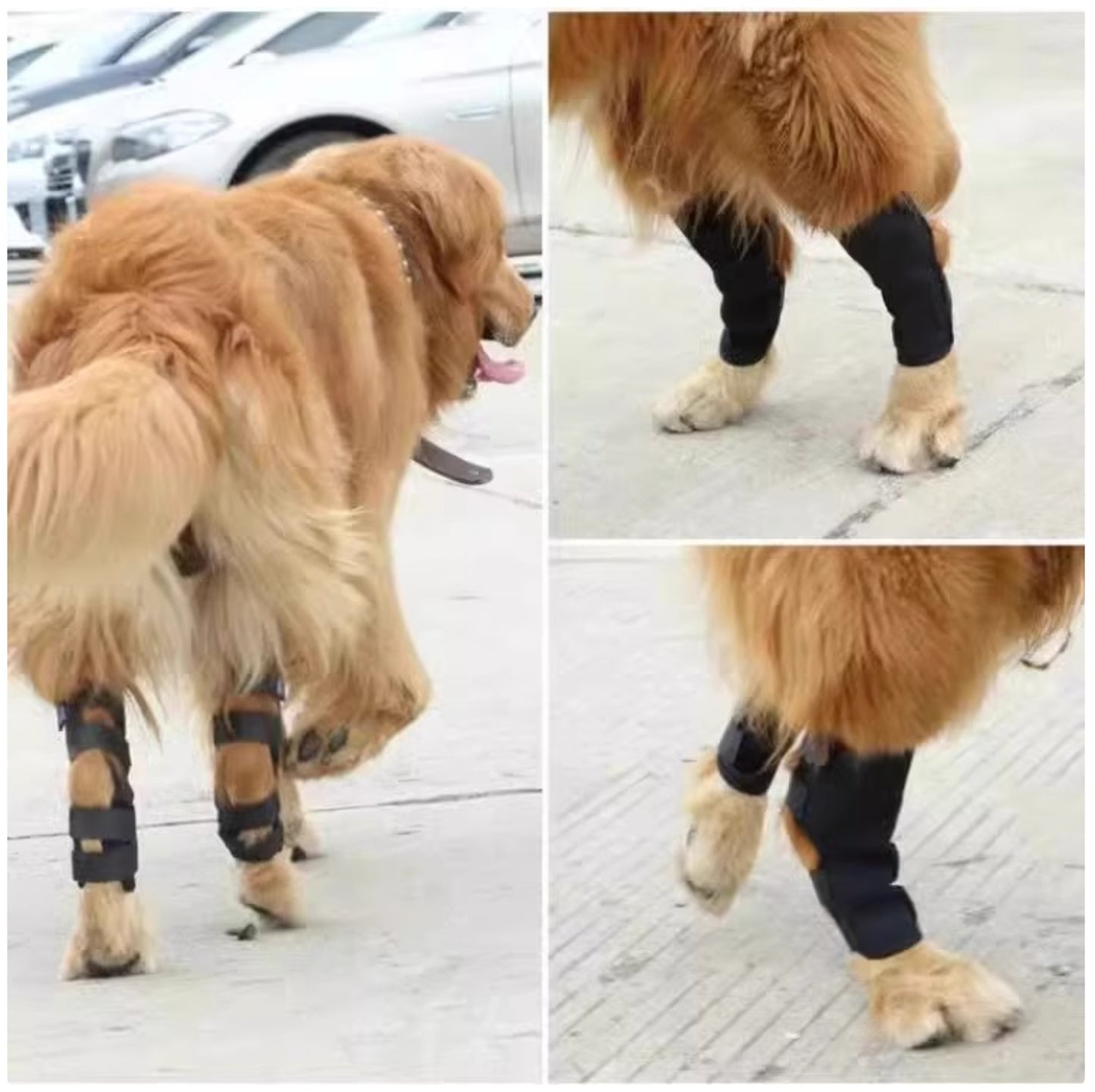 Dog Rear Leg Brace - Compression Leg Sleeve for Arthritis & Injury Recovery