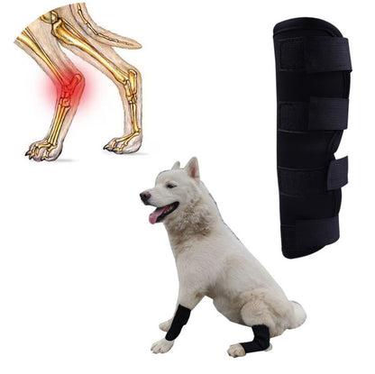 Dog Rear Leg Brace - Compression Leg Sleeve for Arthritis & Injury Recovery