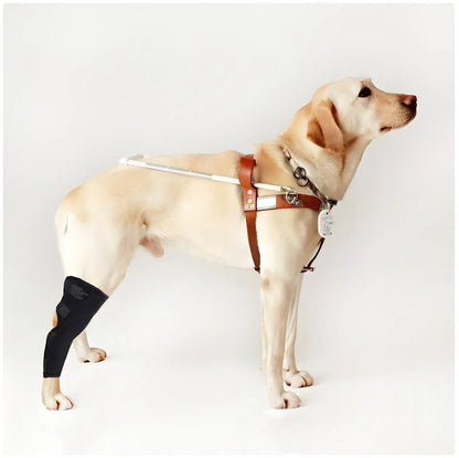 Dog Rear Leg Brace - Compression Leg Sleeve for Arthritis & Injury Recovery